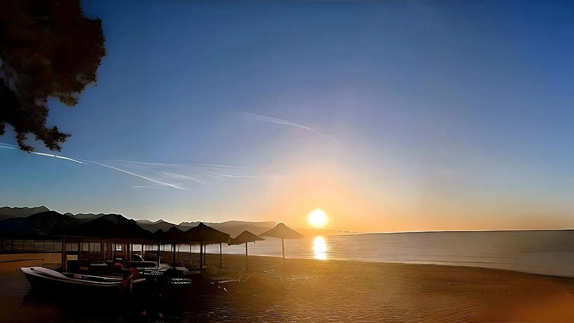 Sweet Olive Apartamento Con Terraza A Pie De Playa Torre Del Mar Spain