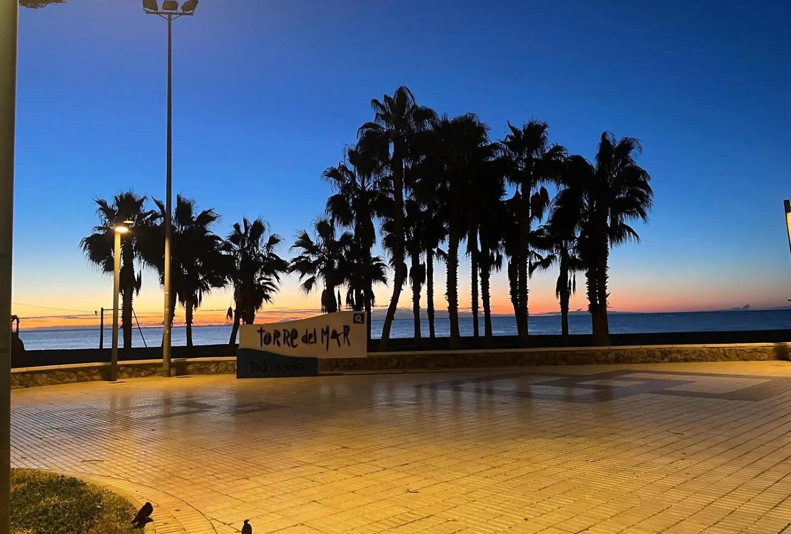 Sweet Olive Apartamento Con Terraza A Pie De Playa Torre Del Mar Apartment